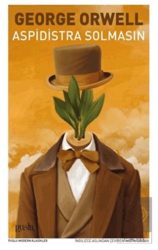 Aspidistra Solmasın