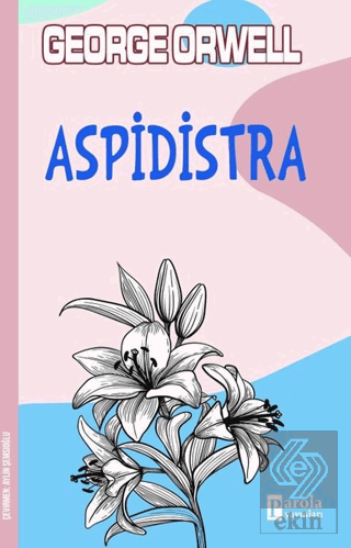 Aspidistra