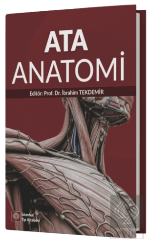 Ata Anatomi