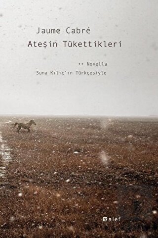 Ateşin Tükettikleri