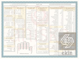 Avamil Şeması Renkli