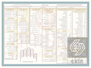 Avamil Şeması Renkli