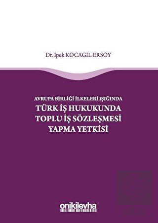 Avrupa Birliği İlkeleri Işığında Türk İş Hukukunda