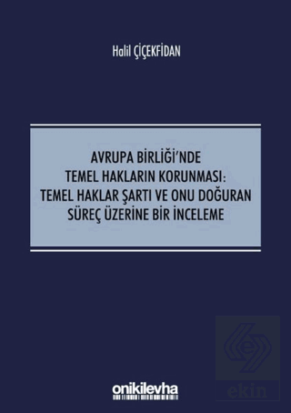 Avrupa Birliği\'nde Temel Hakların Korunması: Temel