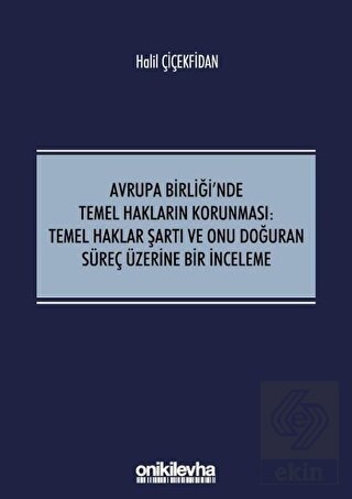Avrupa Birliği\'nde Temel Hakların Korunması: Temel