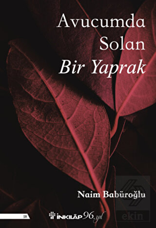Avucumda Solan Bir Yaprak