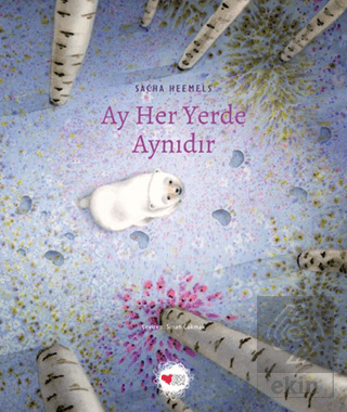 Ay Her Yerde Aynıdır