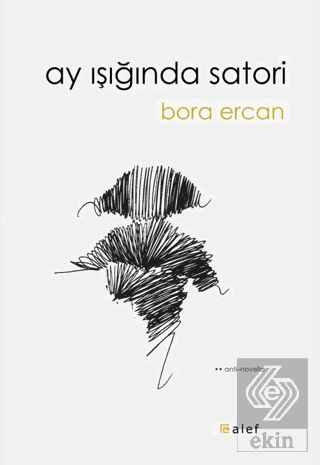 Ay Işığında Satori