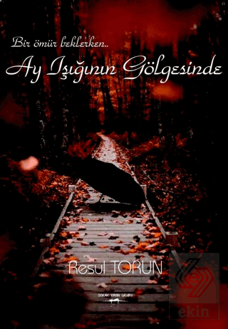 Ay Işığının Gölgesinde