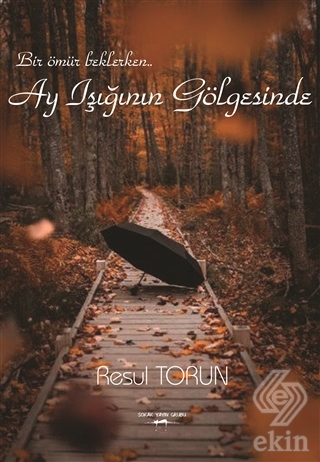 Ay Işığının Gölgesinde