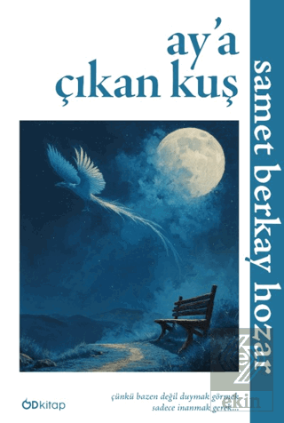 Ay'a Çıkan Kuş
