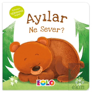 Ayılar Ne Sever?