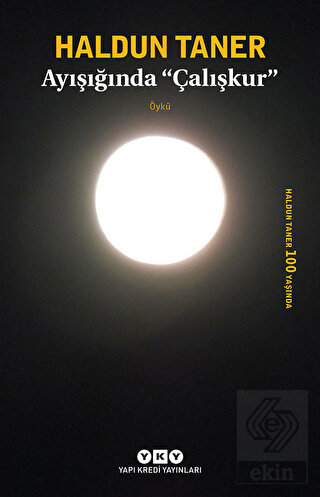Ayışığında Çalışkur
