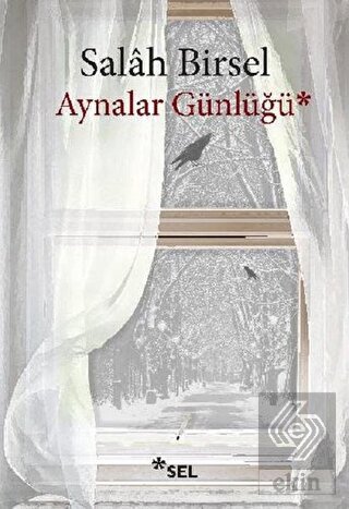 Aynalar Günlüğü