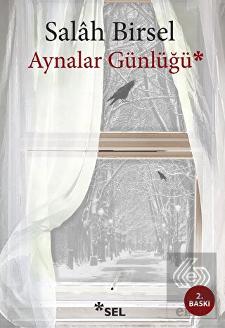 Aynalar Günlüğü