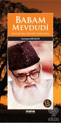 Babam Mevdudi