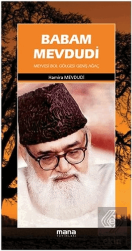 Babam Mevdudi