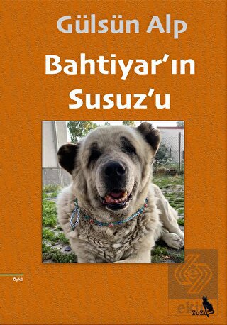 Bahtiyar'ın Susuz'u