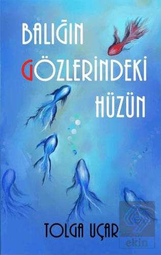 Balığın Gözlerindeki Hüzün