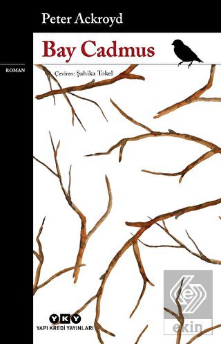 Bay Cadmus
