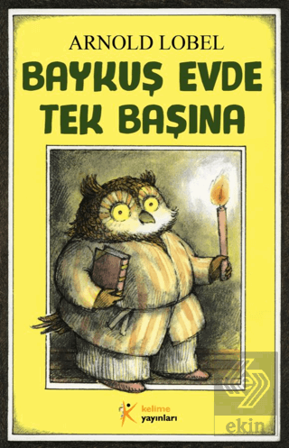 Baykuş Evde Tek Başına