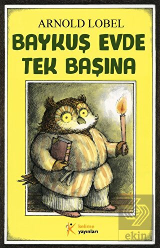 Baykuş Evde Tek Başına