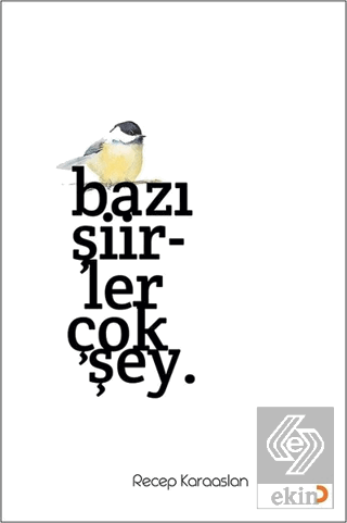 Bazı Şiirler Çok Şey.