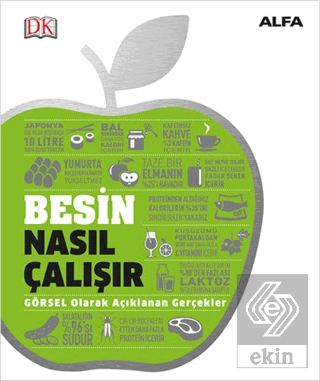 Besin Nasıl Çalışır