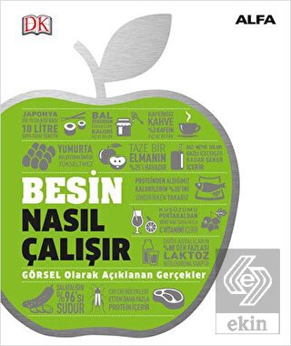 Besin Nasıl Çalışır