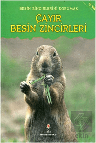 Besin Zincirlerini Korumak Çayır Besin Zincirleri