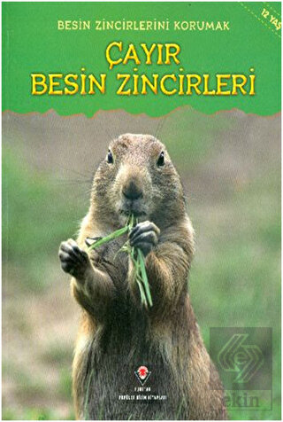 Besin Zincirlerini Korumak Çayır Besin Zincirleri