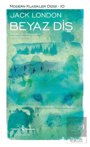 Beyaz Diş (Şömizli)