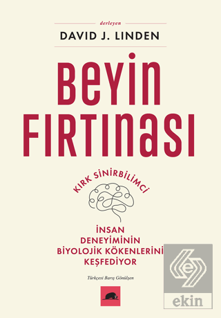 Beyin Fırtınası