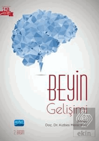 Beyin Gelişimi