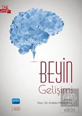 Beyin Gelişimi