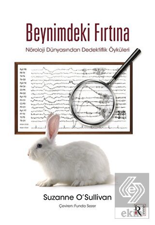 Beynimdeki Fırtına