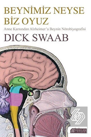 Beynimiz Neyse Biz Oyuz