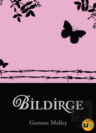 Bildirge