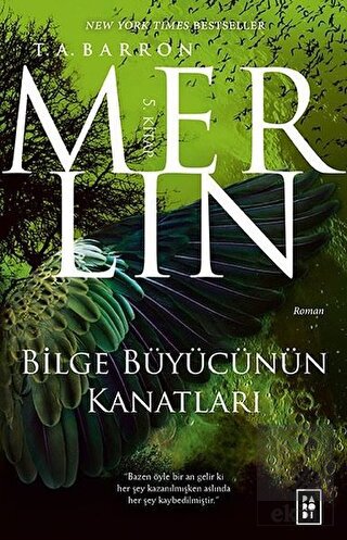 Bilge Büyücünün Kanatları - Merlin