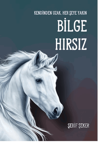 Bilge Hırsız