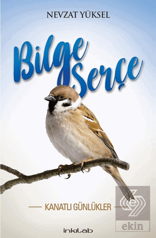 Bilge Serçe - Kanatlı Günlükler