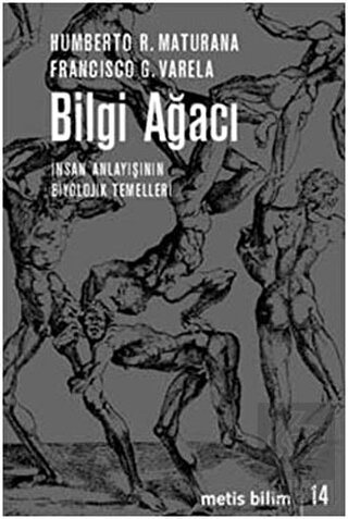 Bilgi Ağacı
