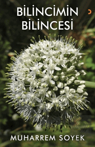 Bilincimin Bilincesi