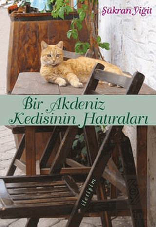 Bir Akdeniz Kedisinin Hatıraları