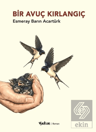 Bir Avuç Kırlangıç