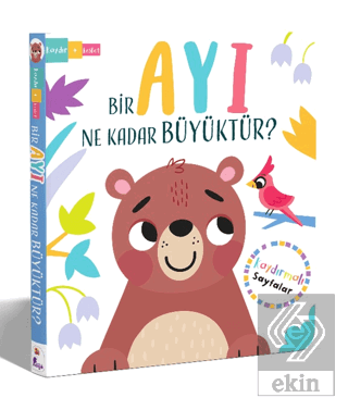 Bir Ayı Ne Kadar Büyüktür? – Kaydır + Keşfet