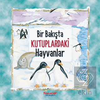 Bir Bakışta Kutuplardaki Hayvanlar