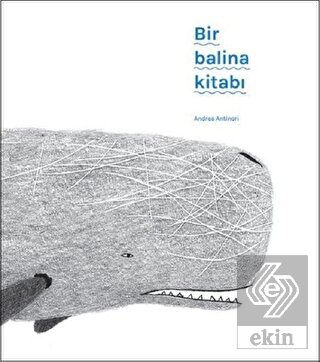Bir Balina Kitabı