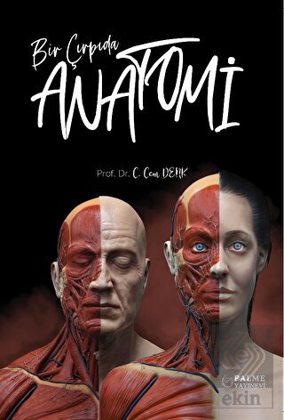 BİR ÇIRPIDA ANATOMİ (PALME)