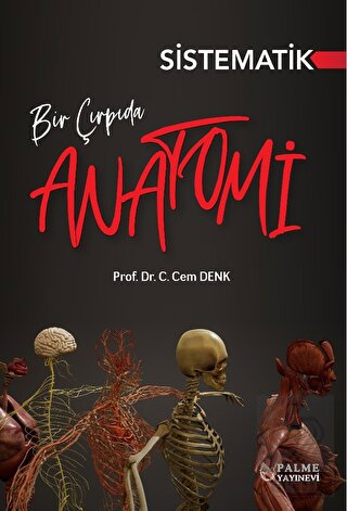 BİR ÇIRPIDA SİSTEMATİK ANATOMİ (PALME)